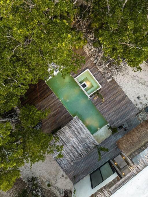 Villa Xuncari In The Heart Of The Jungle トゥルム エクステリア 写真