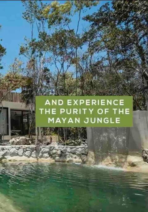 Villa Xuncari In The Heart Of The Jungle トゥルム エクステリア 写真